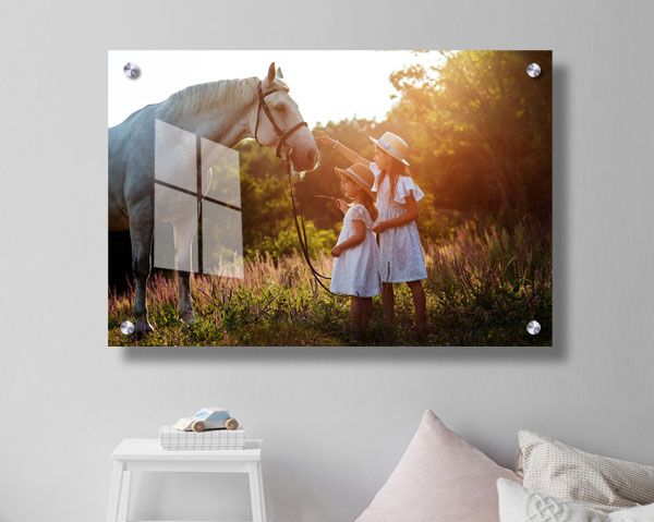 acrylic photo prints in modern home decor