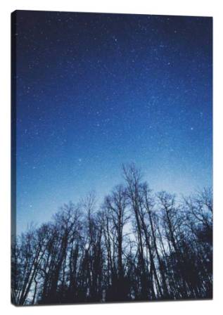 Photograph the starry sky