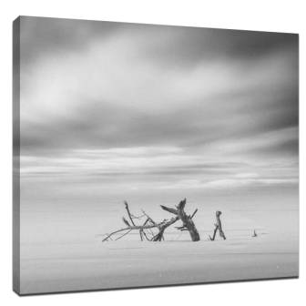 Shoot appealing black and white photos