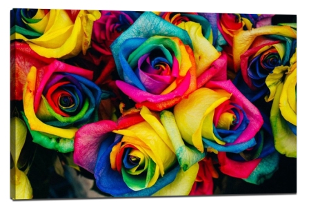 How to use color in photography