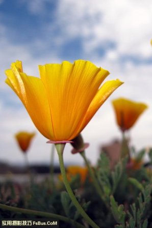 Low angle photography produces different pictures