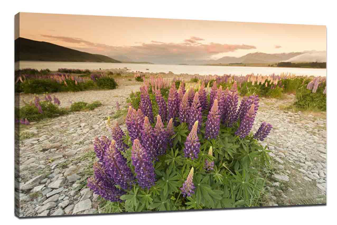 Method for taking beautiful scenery photography