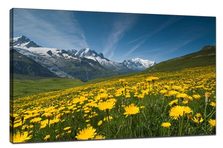 Six essential skills improve the scenery photography