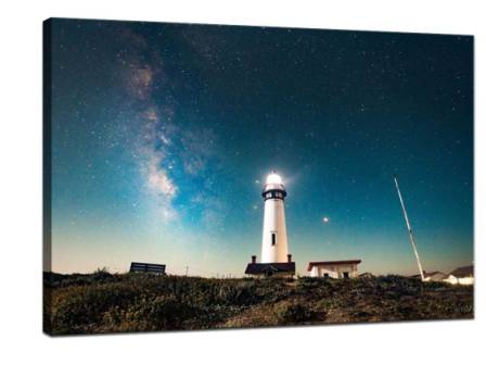 What are the key elements of a good photograph